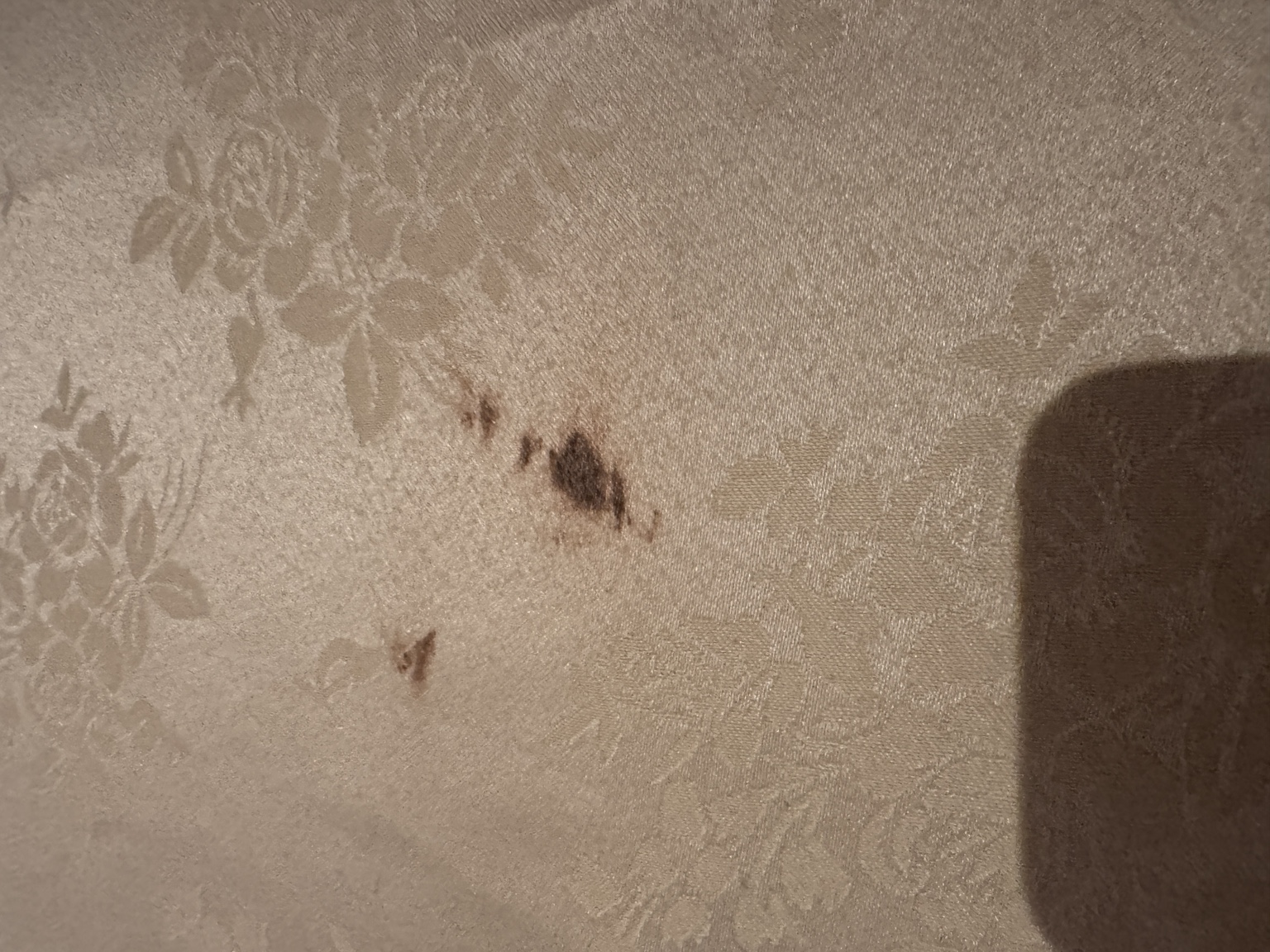 Close-up of a dark stain on the sheet at the second spa appointment