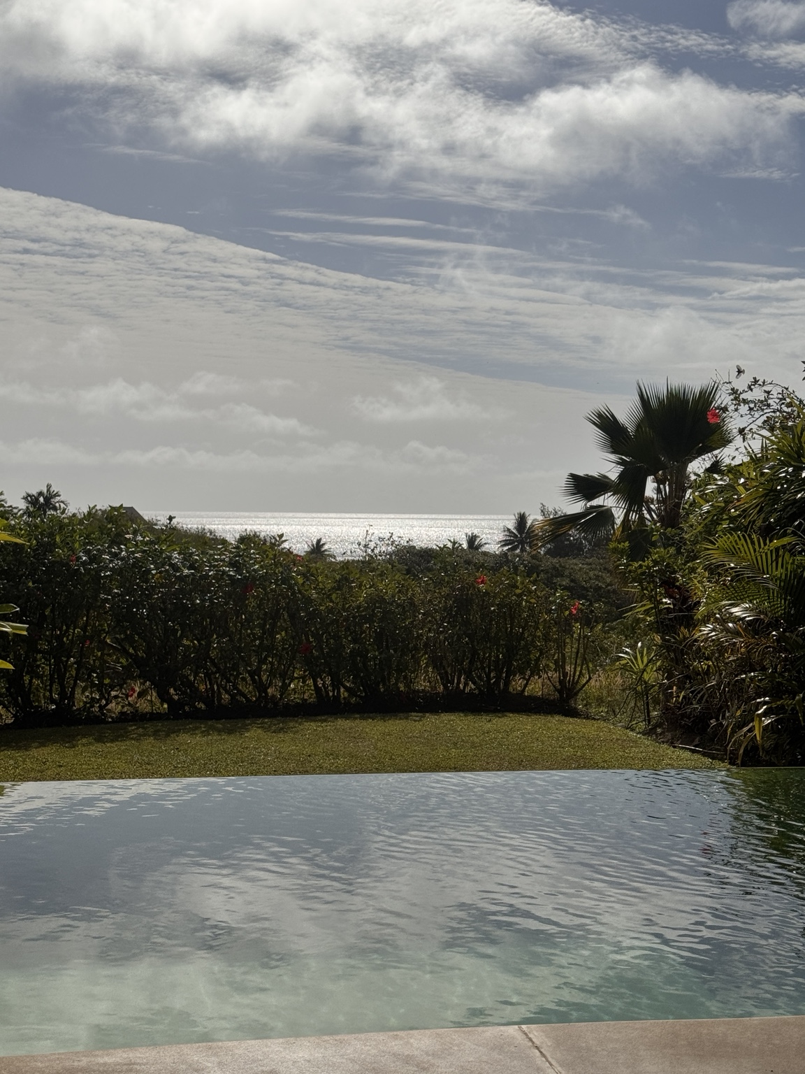 Private plunge pool overlooking a garden and the distant ocean
