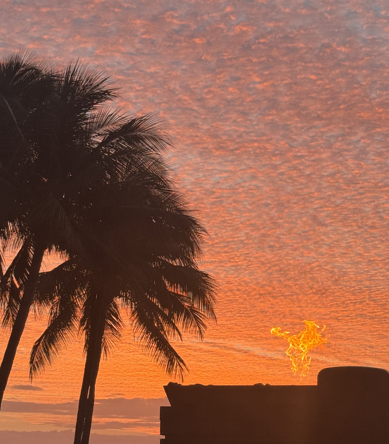 Torch flame and silhouetted palms against an orange sunset